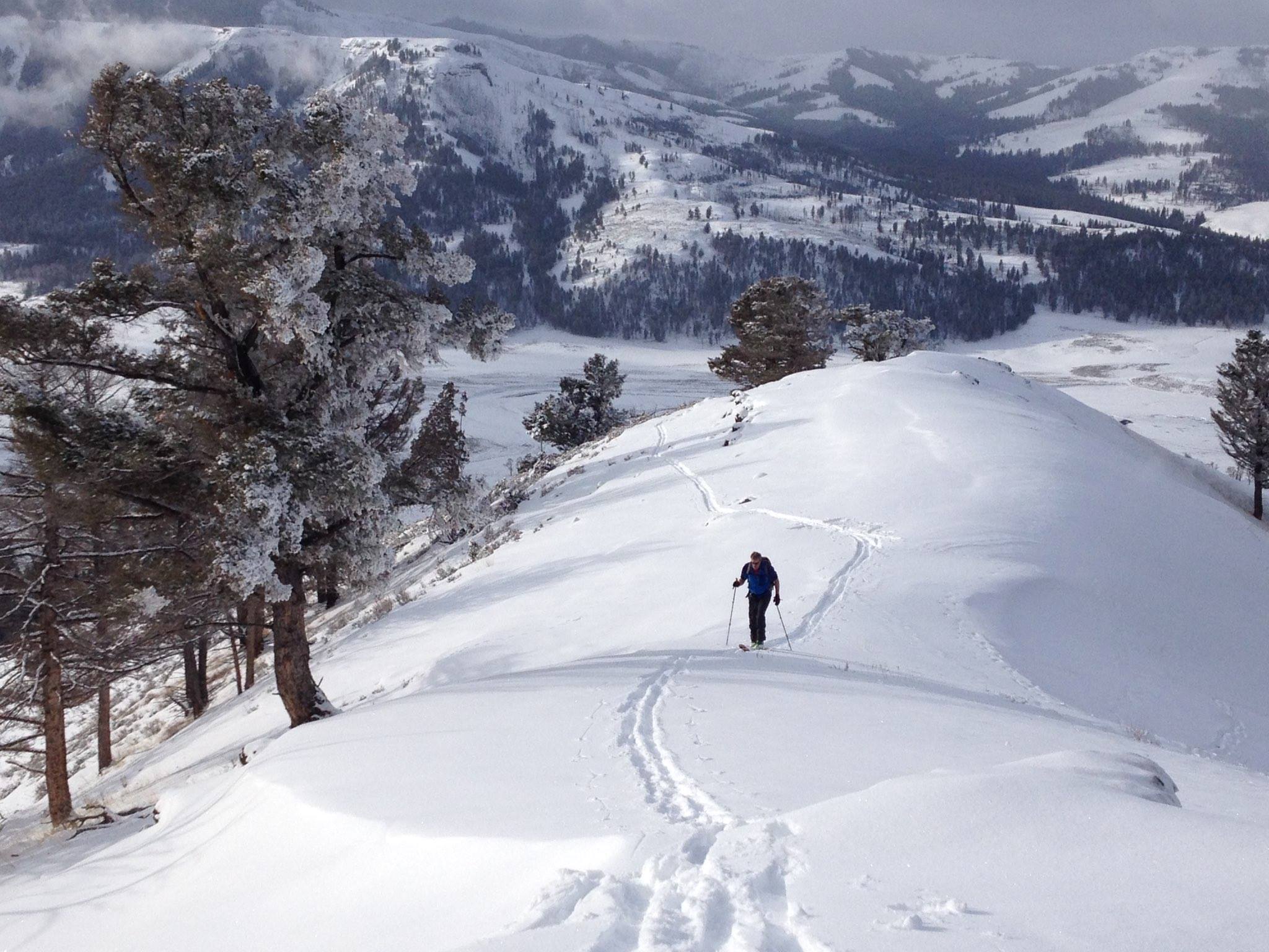 Bill skins uphill near Lamar Valley
